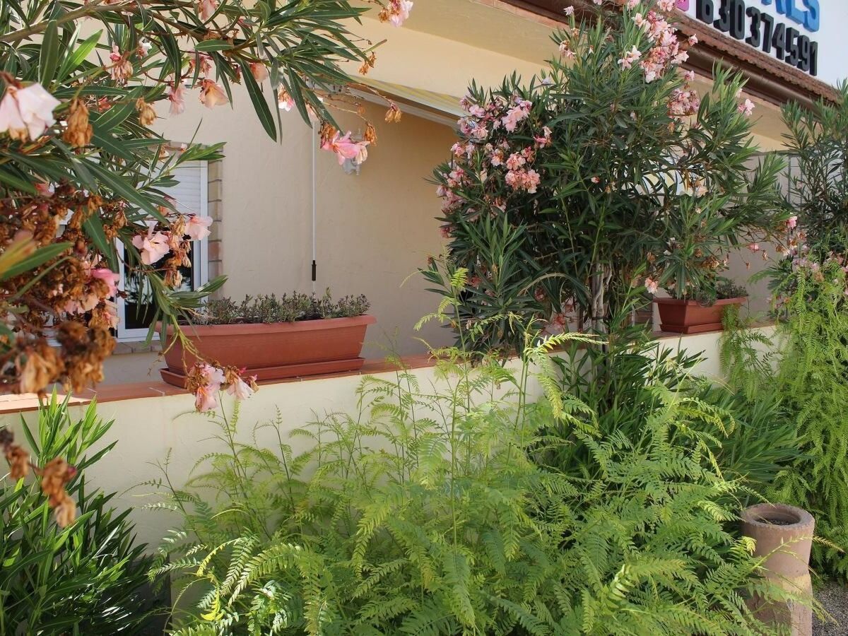 Casa Flora - Appartement 4 pers. à San Pedro del Pinatar - Photo 9
