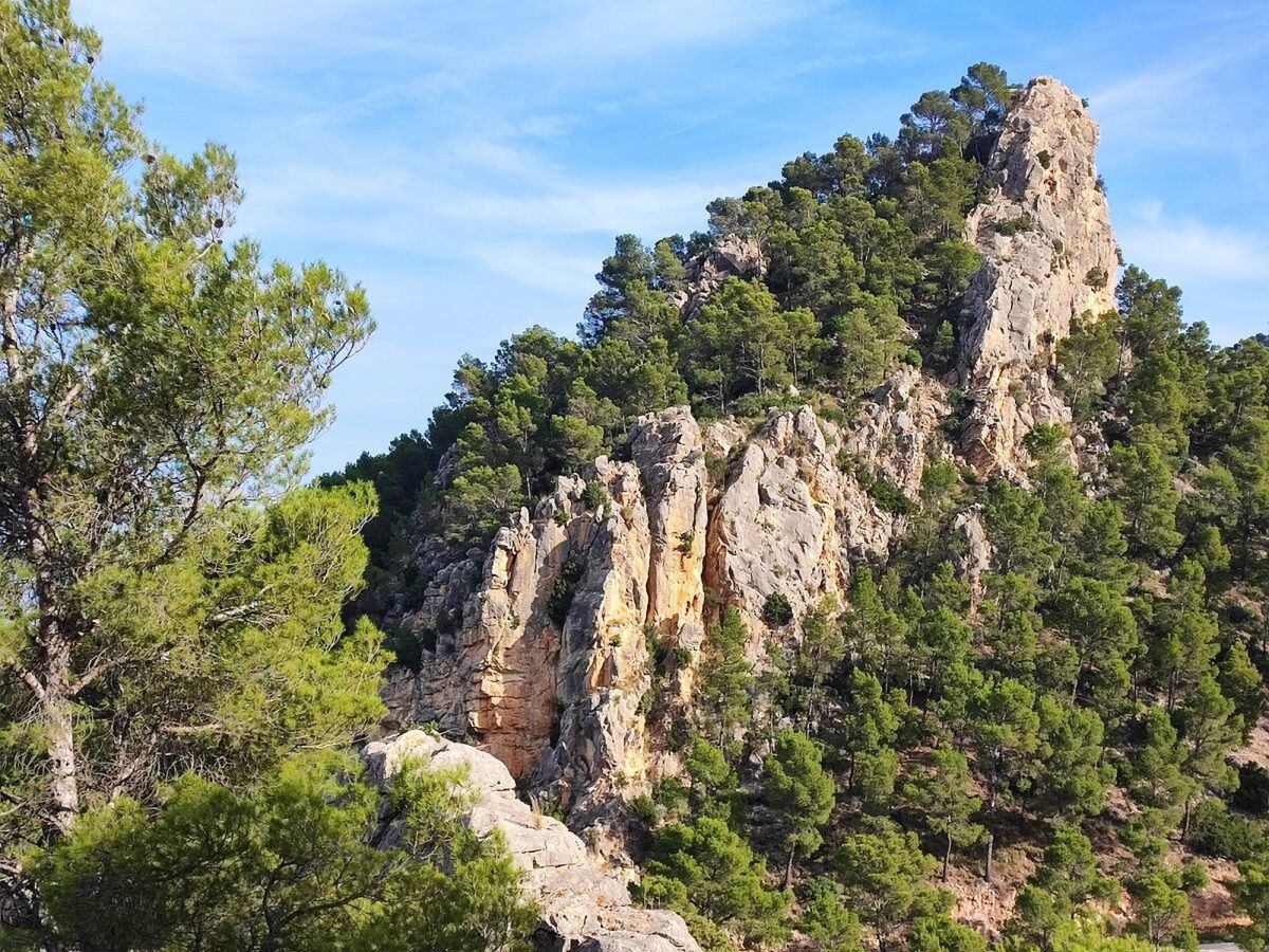 Maison Domicilio de Vida – Valle de Ricote, piscine et 9 000 m² - Photo 49