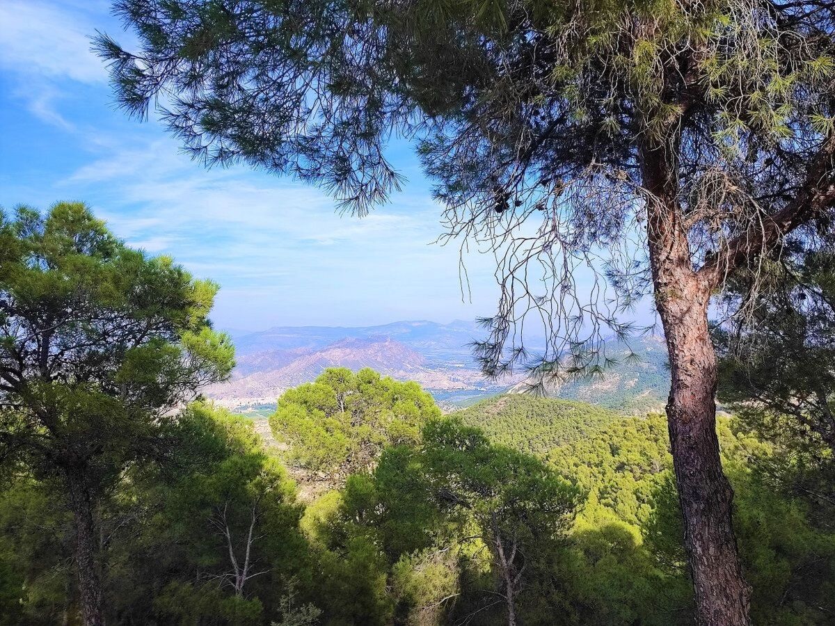 Maison Domicilio de Vida – Valle de Ricote, piscine et 9 000 m² - Photo 50