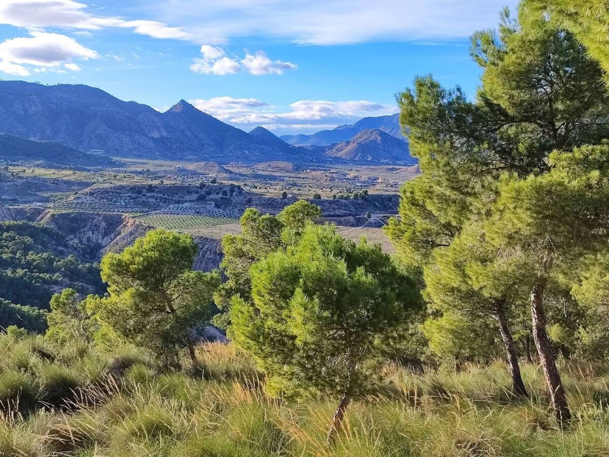 Maison Domicilio de Vida – Valle de Ricote, piscine et 9 000 m² - Photo 56