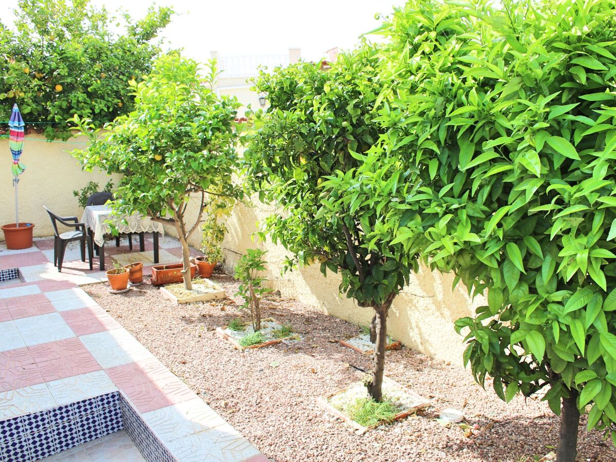 Casa Caprichosa - Maison 6 pers. La Marina - Photo 21