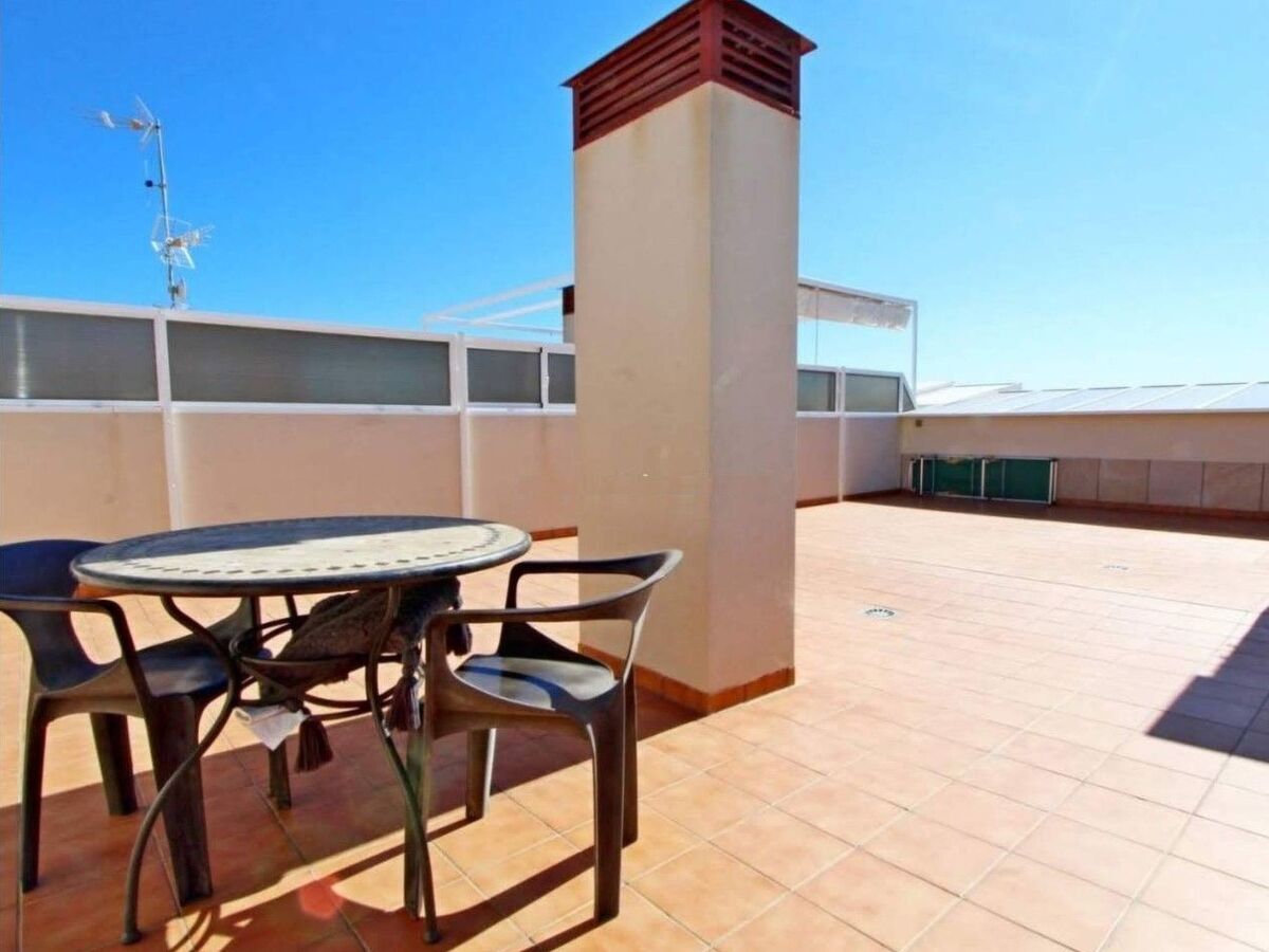Appartement 3ème étage avec grande terrasse sur toit, Punta Prima - Photo 20