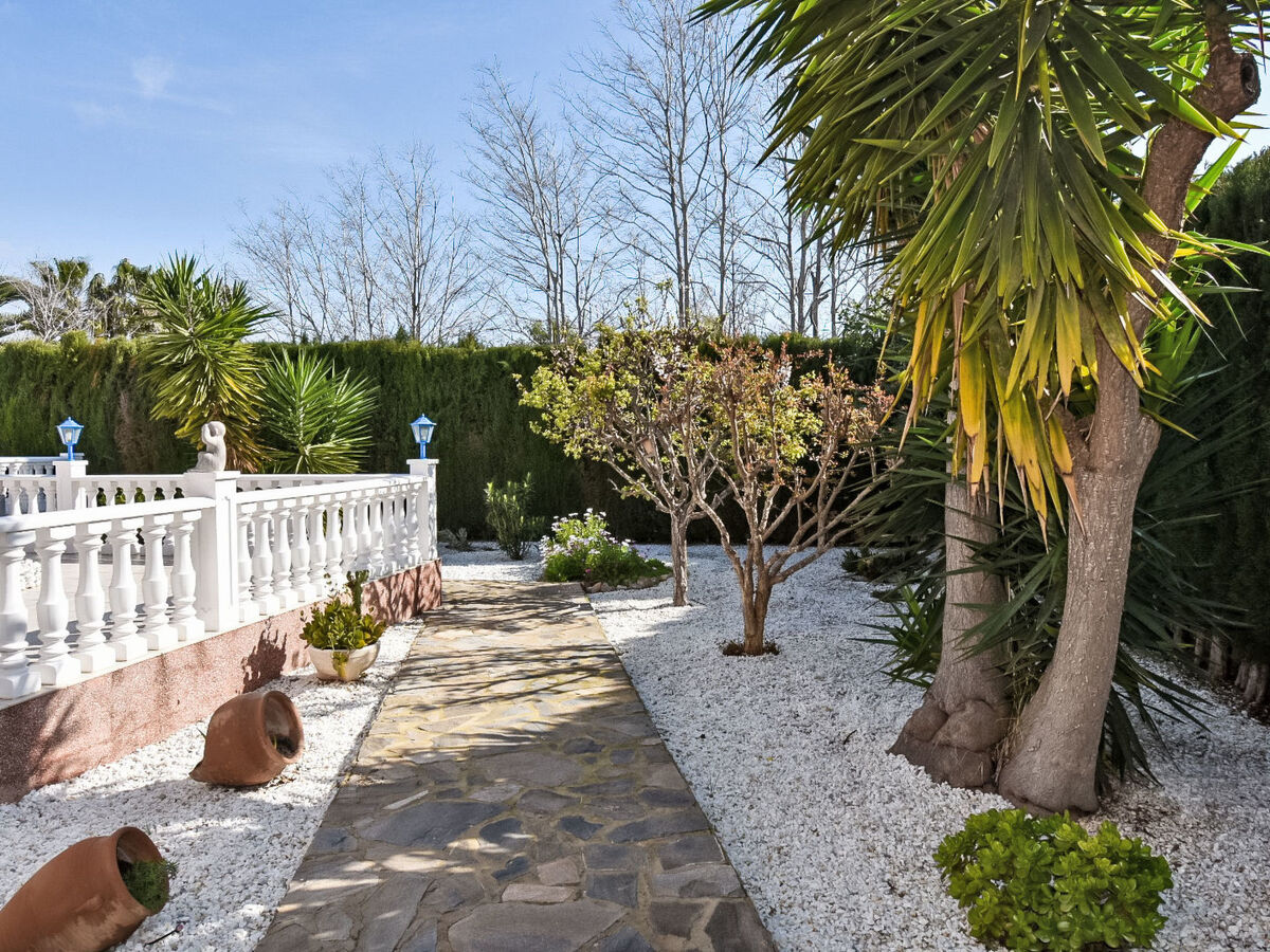 Villa Esmeralda – piscine chauffée 20°C toute l'année, Castillo de Don Juan - Photo 4