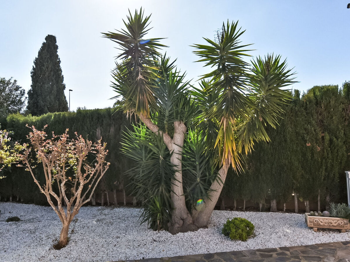 Villa Esmeralda – piscine chauffée 20°C toute l'année, Castillo de Don Juan - Photo 6