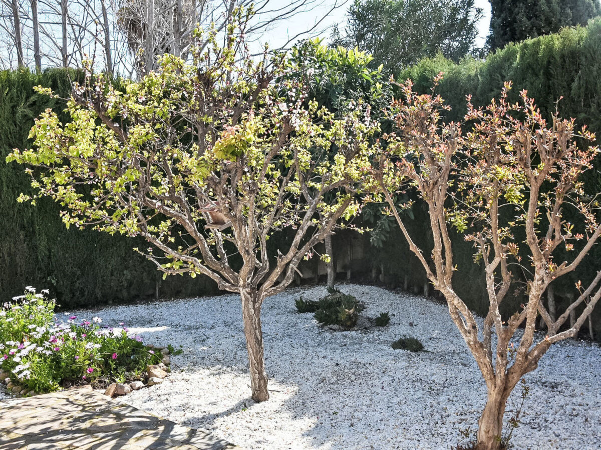 Villa Esmeralda – piscine chauffée 20°C toute l'année, Castillo de Don Juan - Photo 7