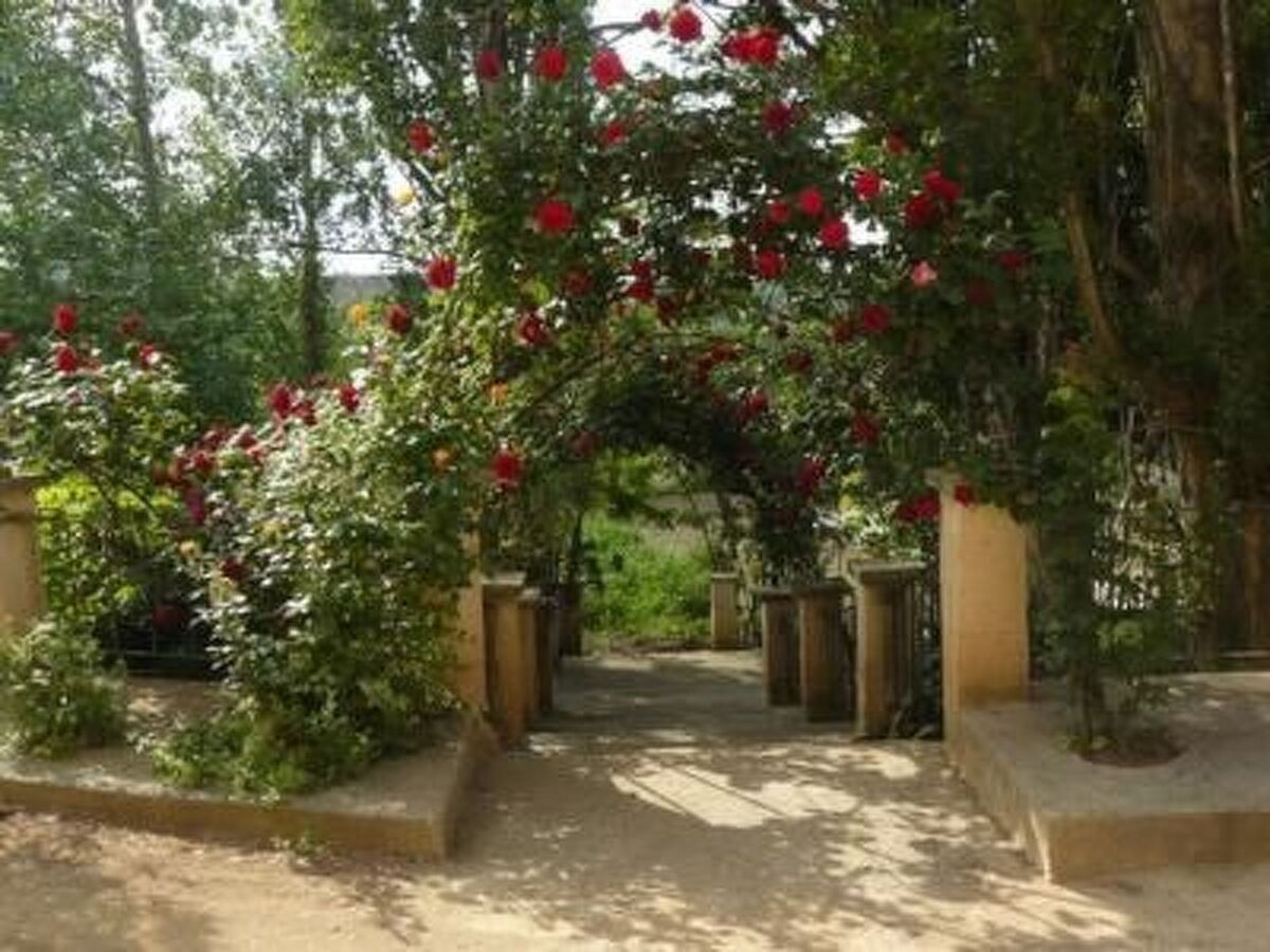 Torre de Campos, maison rurale XVIIIe en Aragon - Photo 6
