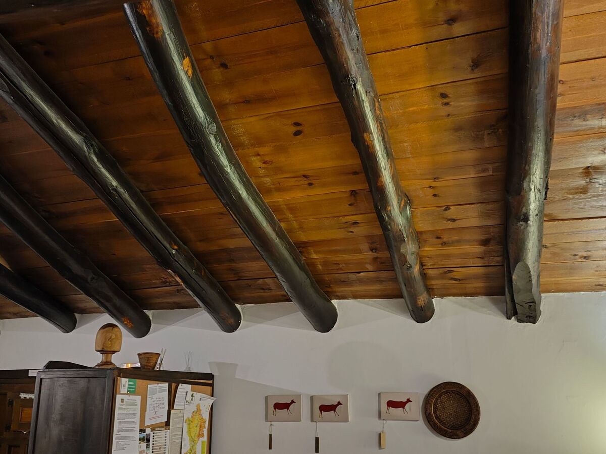 Appartement Turia, 3e étage à Castielfabib - Photo 22