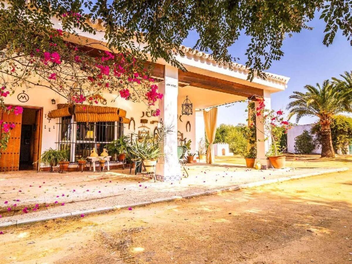 Casa Rural Santa Ana : maison 11 pers, piscine à Marchena - Photo 4