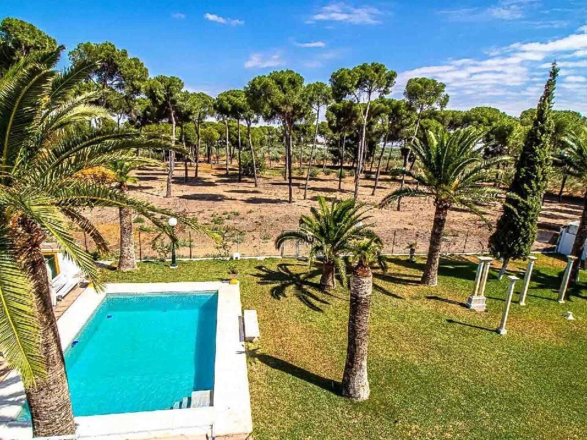 Hacienda El Corchuelo – Maison 7 chambres, piscine privée - Photo 42
