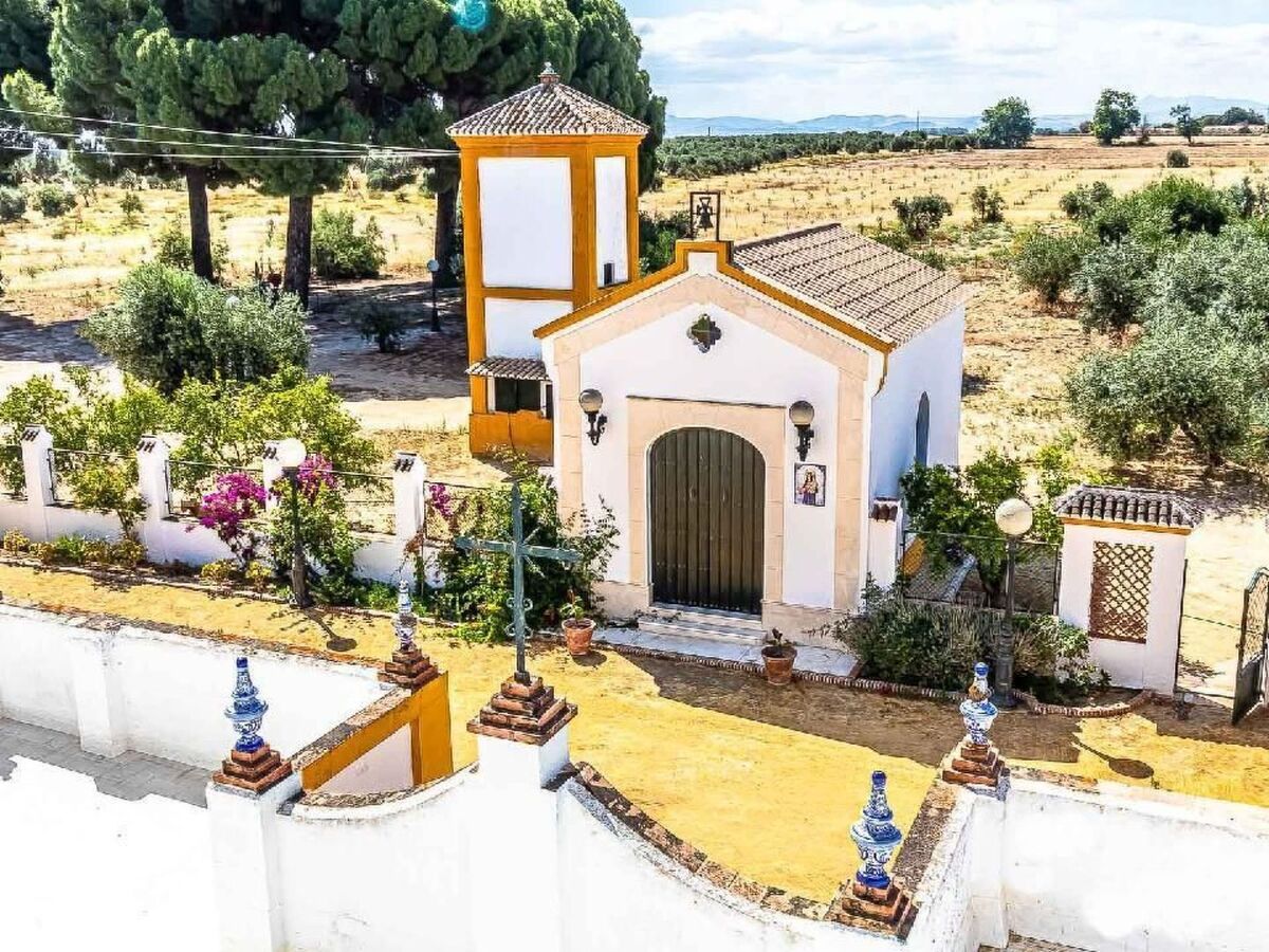 Hacienda El Corchuelo – Maison 7 chambres, piscine privée - Photo 50