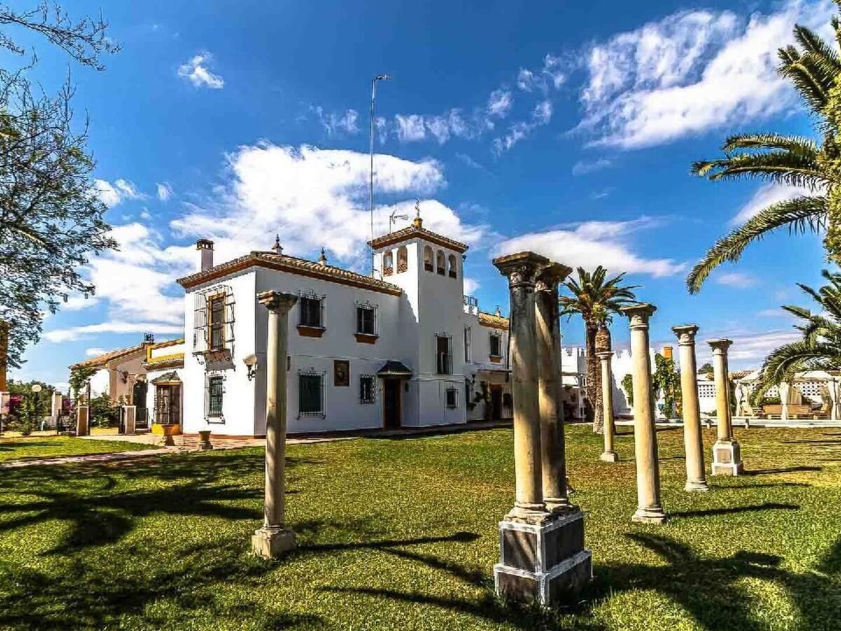 Hacienda El Corchuelo – Maison 7 chambres, piscine privée - Photo 53