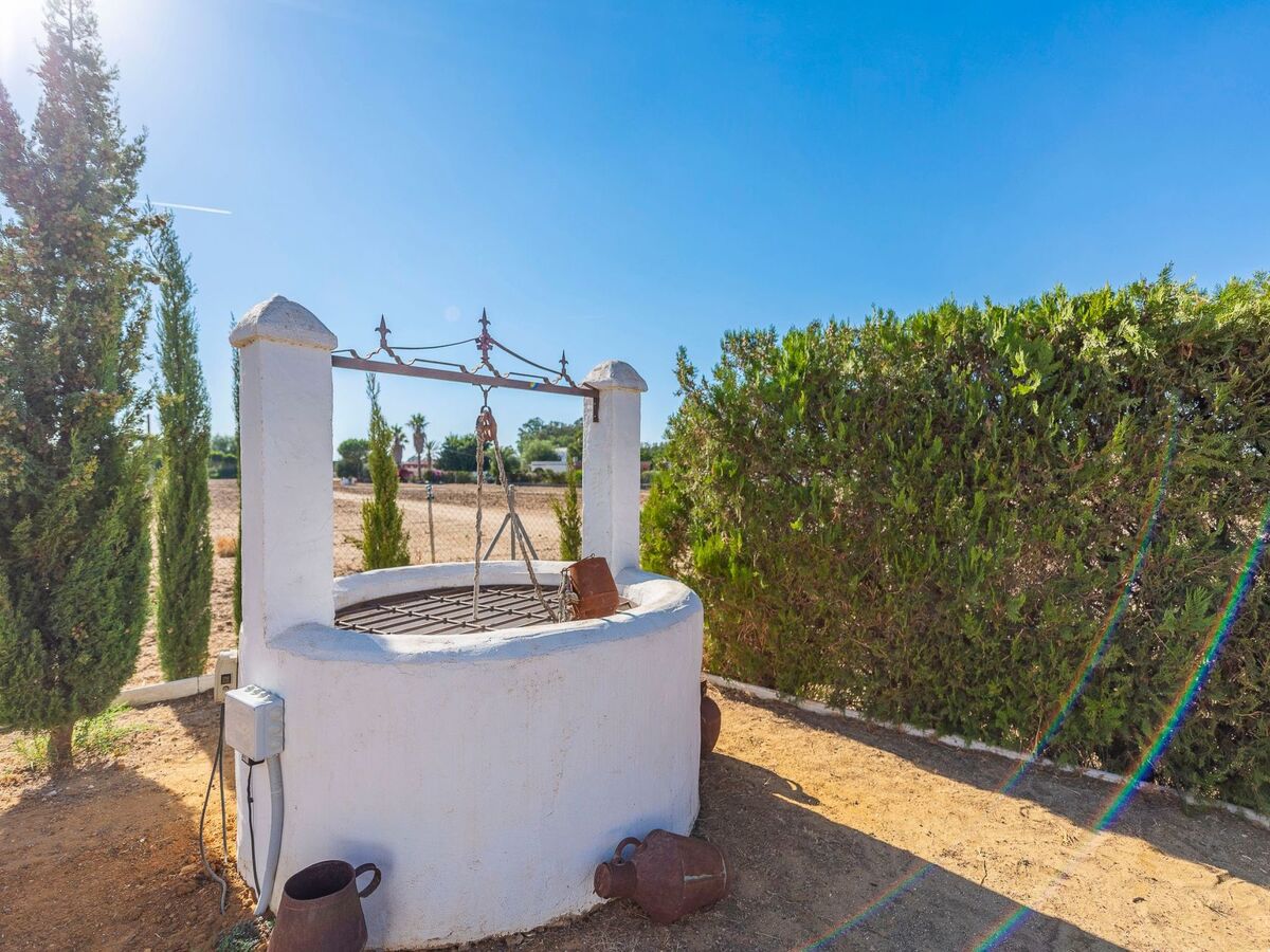 Landhaus La Teja – Maison 9 pers., piscine à Marchena - Photo 53