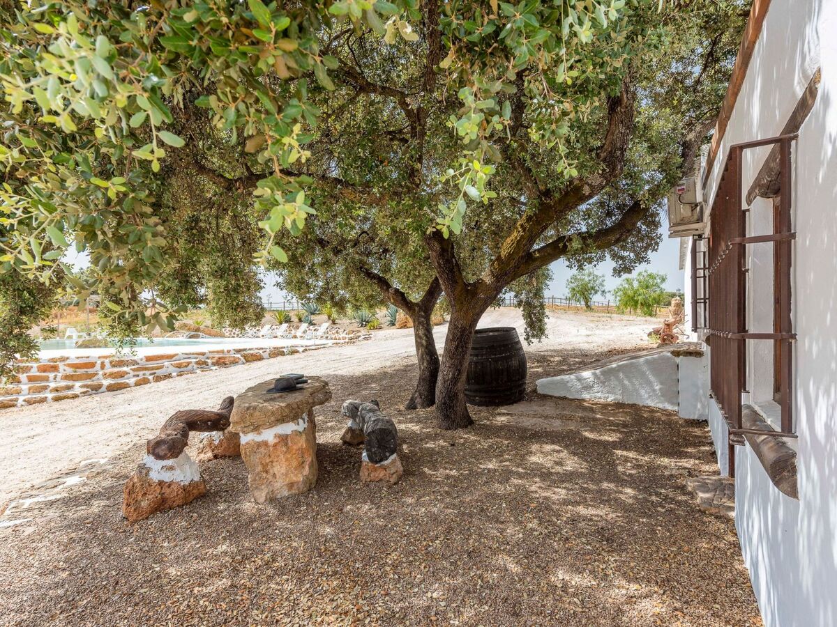 Maison El Ventorrillo avec piscine rustique, Morón de la Frontera - Photo 29