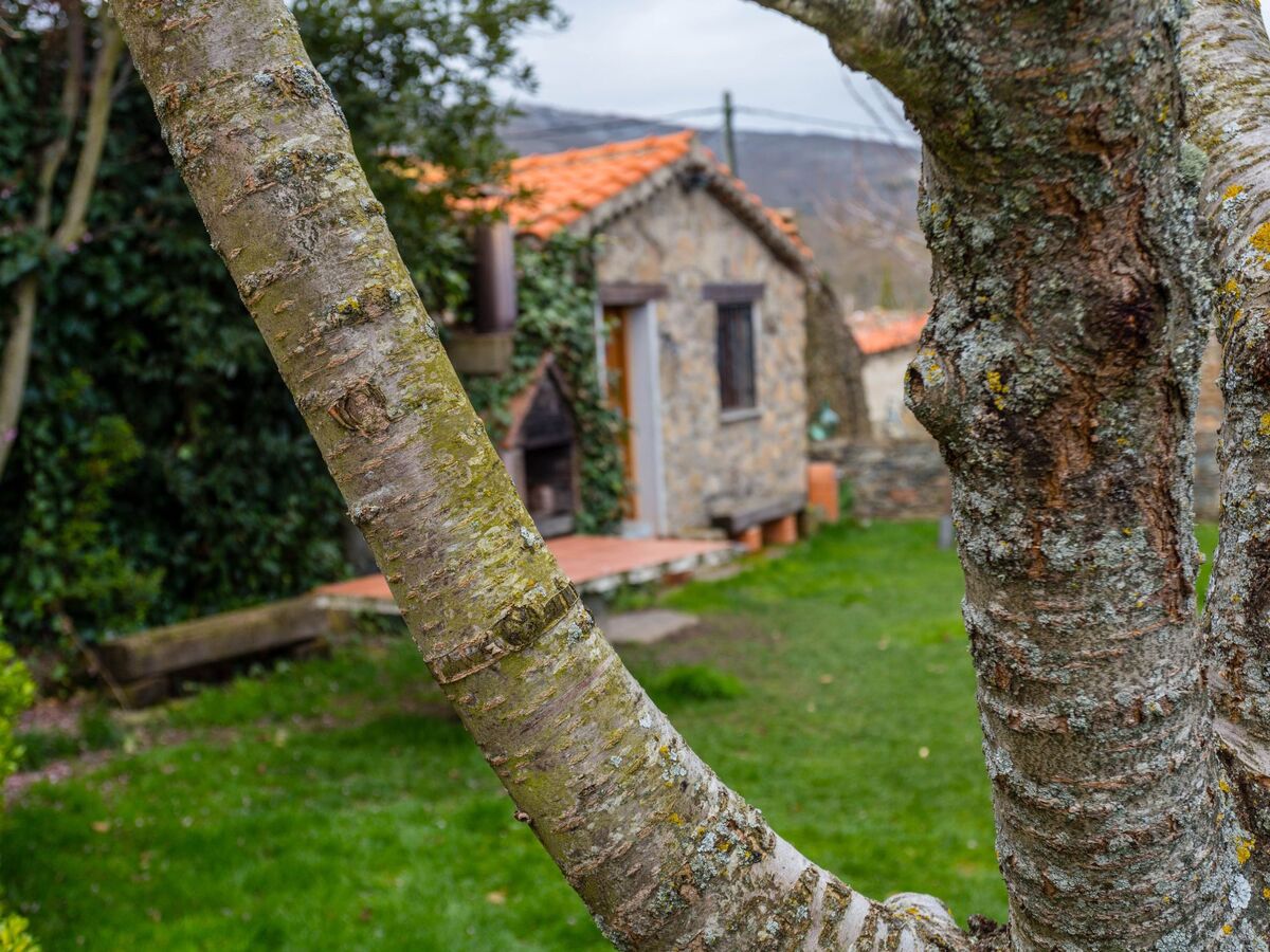 Casa Salva – Maison rurale 9 ch. avec piscine et jacuzzi, Sierra de Francia - Photo 27