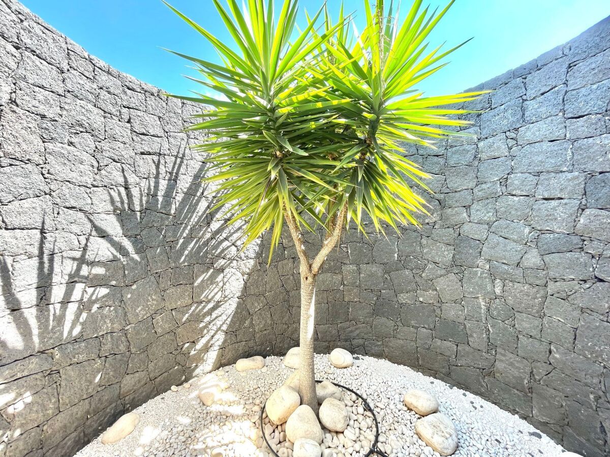 Villa Mamma Mia – Lanzarote, piscine chauffée eau salée - Photo 20