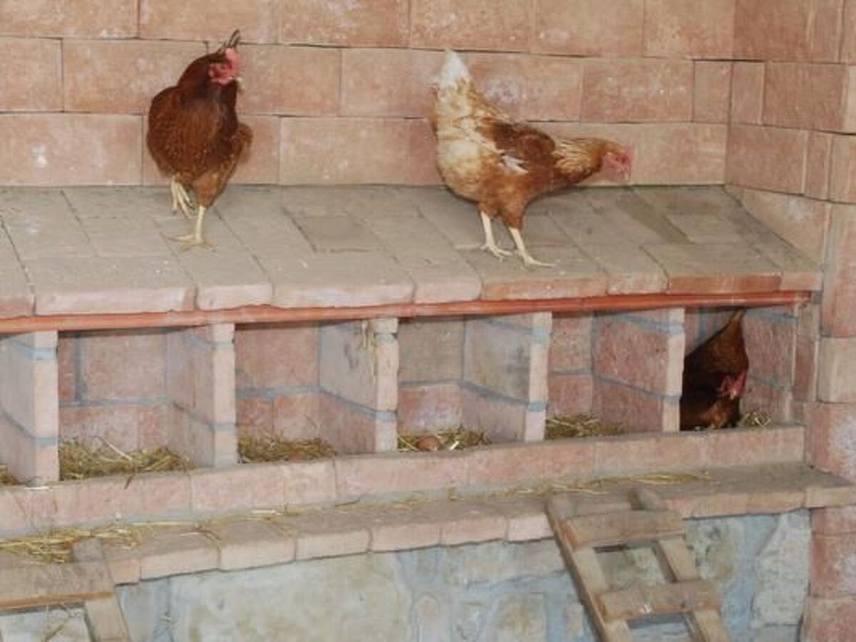 Cal Serveró – Maison 4 pers. avec terrasse à Peramola - Photo 16