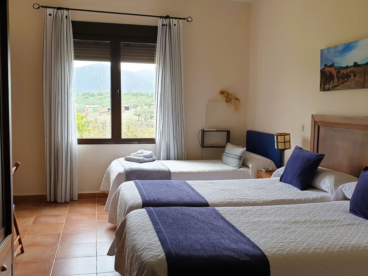 Maison 6 pers. avec piscine privée à Navas de Estena - Photo 3