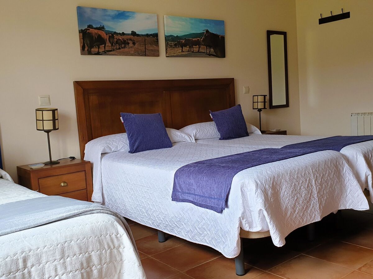 Maison 6 pers. avec piscine privée à Navas de Estena - Photo 17