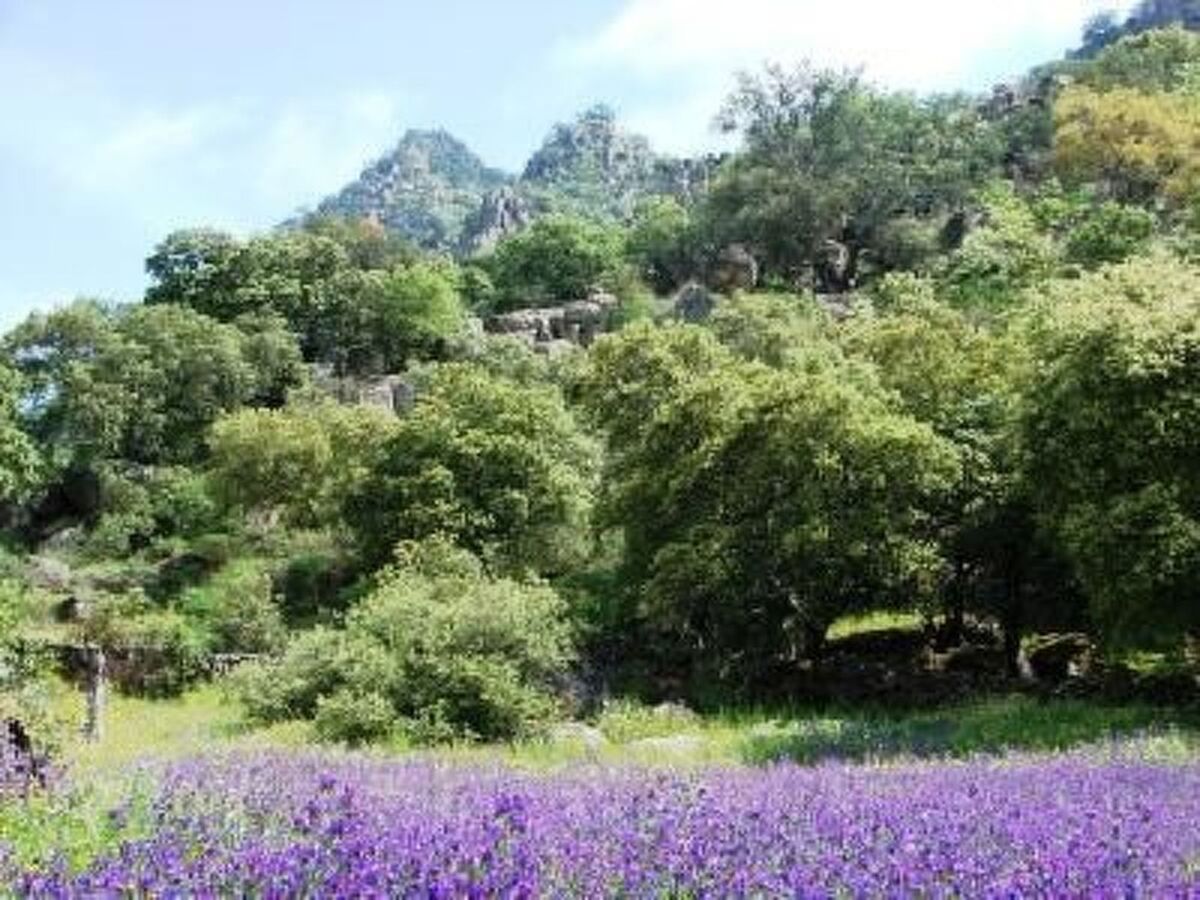 The Barn at Finca al-Manzil, maison Montanchez - Photo 4