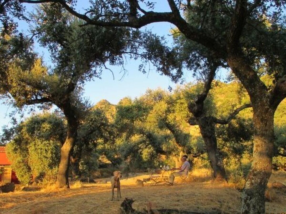 The Barn at Finca al-Manzil, maison Montanchez - Photo 20