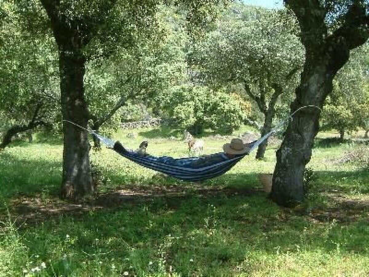 Cortijo Finca al-manzil - Maison 6 pers. Montanchez - Photo 17