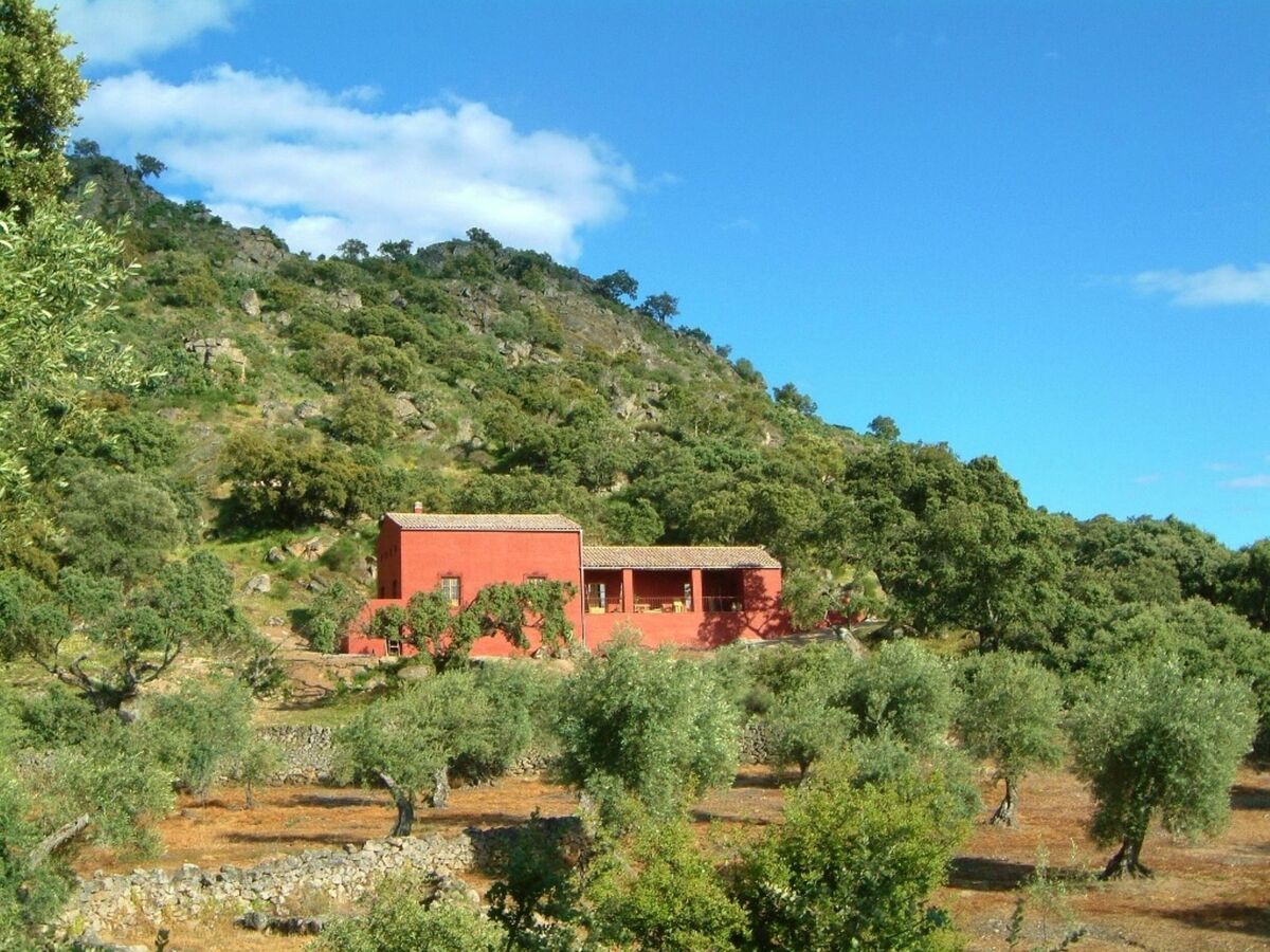Cortijo Finca al-manzil - Maison 6 pers. Montanchez - Photo 22