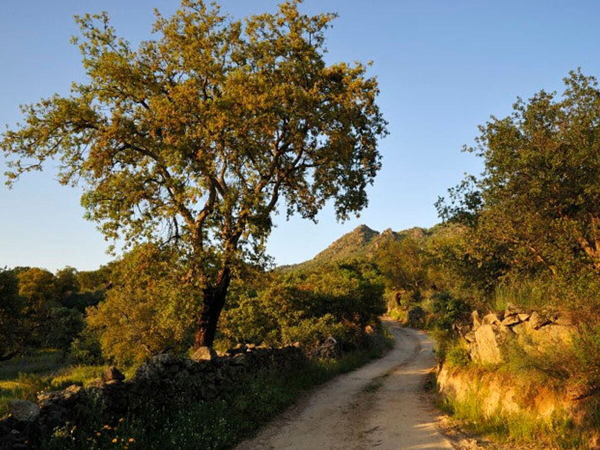 Cortijo Finca al-manzil - Maison 6 pers. Montanchez - Photo 26