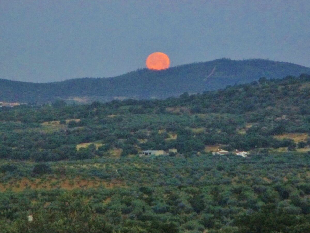 Cortijo Finca al-manzil - Maison 6 pers. Montanchez - Photo 35
