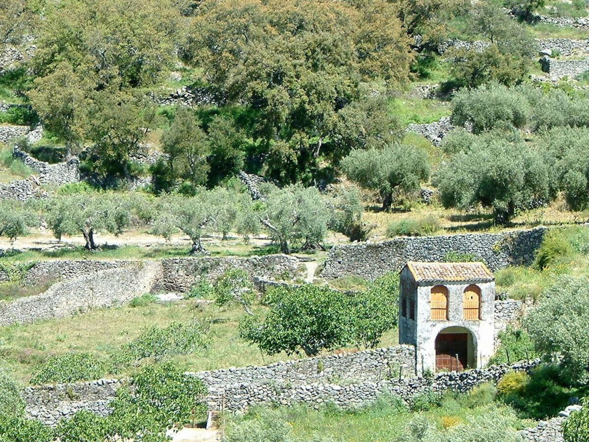 Cortijo Finca al-manzil - Maison 6 pers. Montanchez - Photo 36