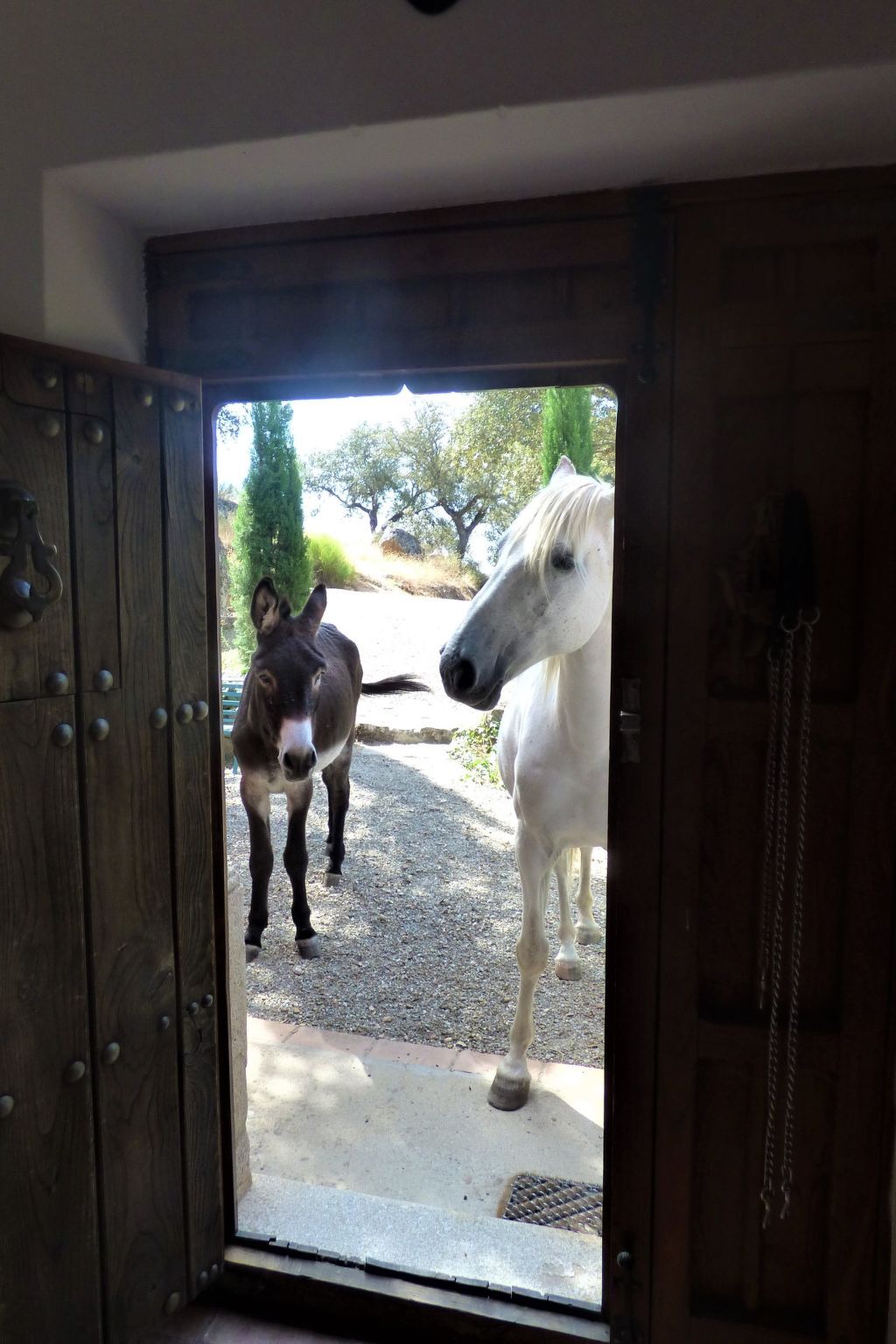 Cortijo Finca al-manzil - Maison 6 pers. Montanchez - Photo 42
