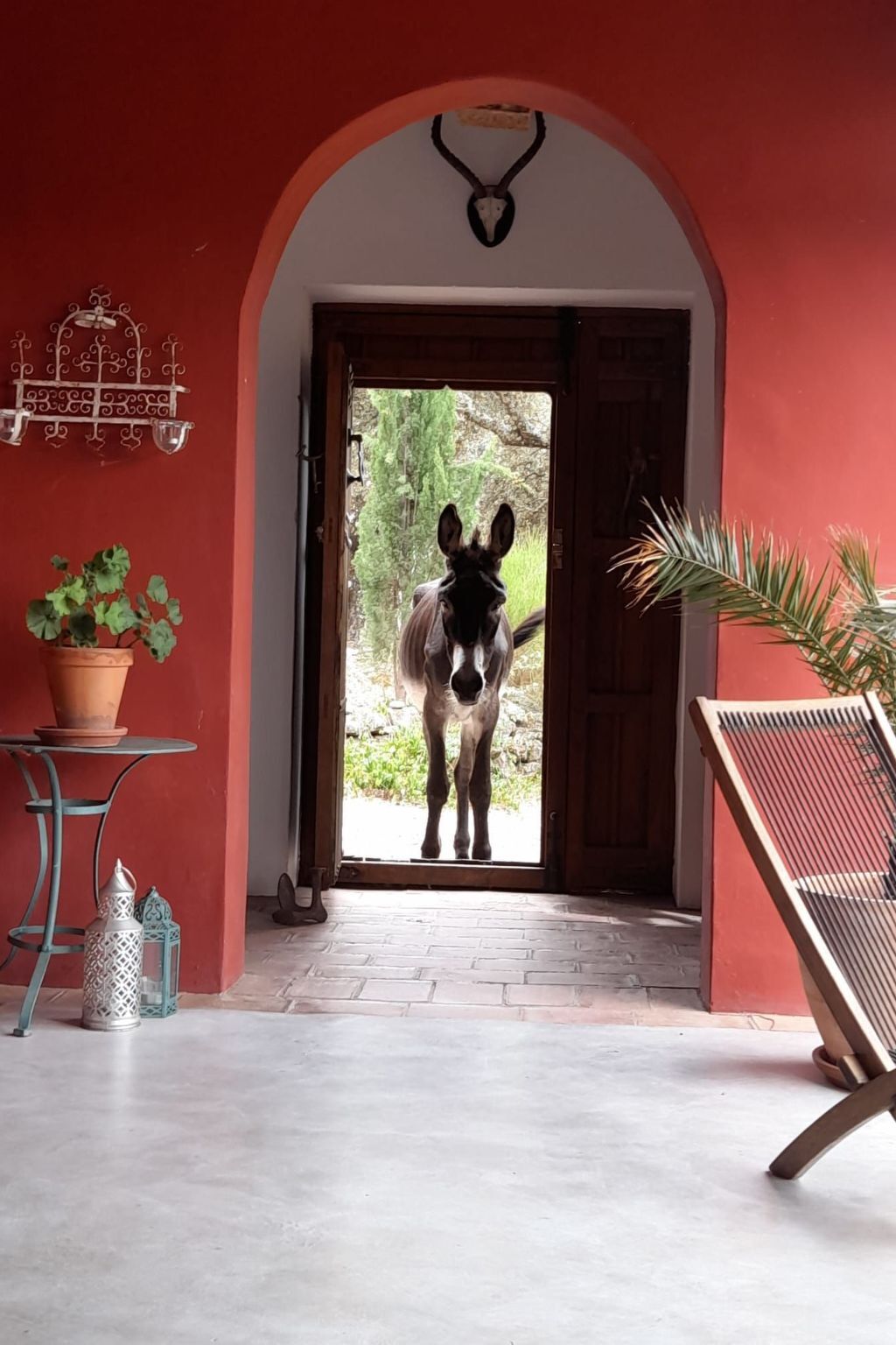 Cortijo Finca al-manzil - Maison 6 pers. Montanchez - Photo 48