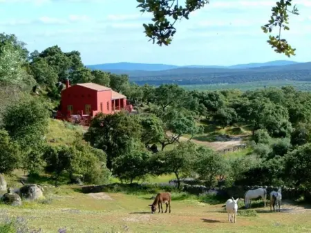 Location maison à Montanchez
