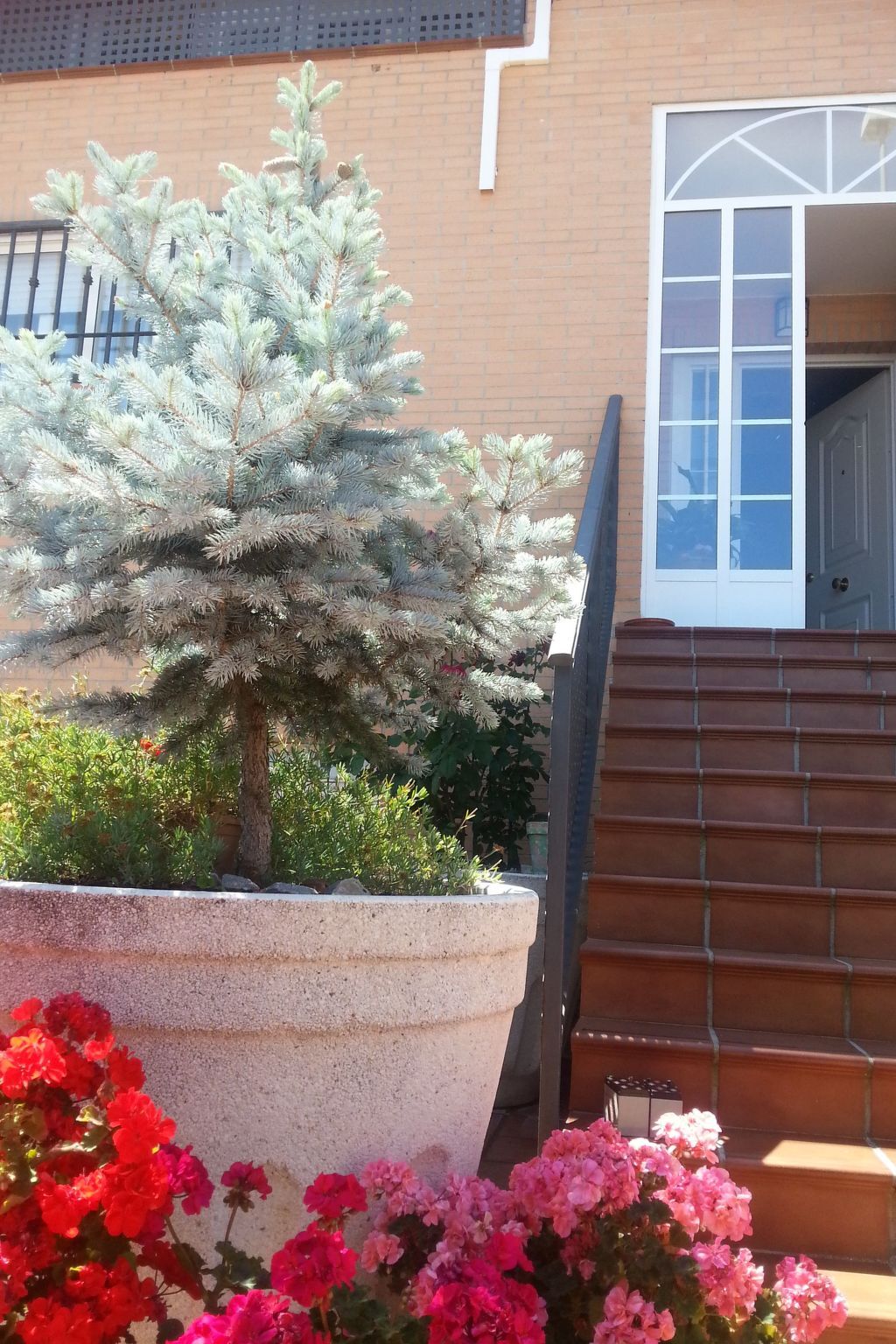 Montesol : Appartement 8 pers., 4 chambres à Cáceres - Photo 5