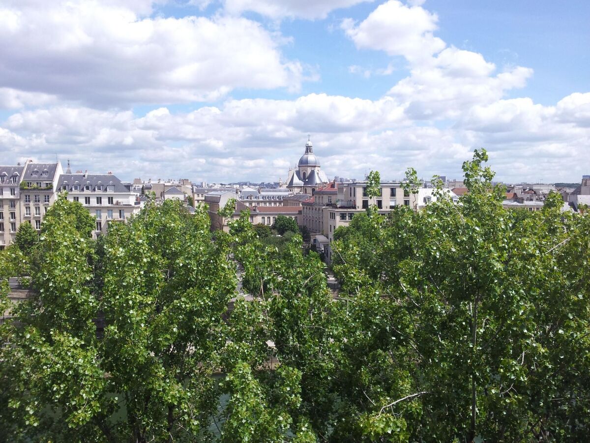 Appartement romantique île Saint-Louis, vue Seine - Photo 3