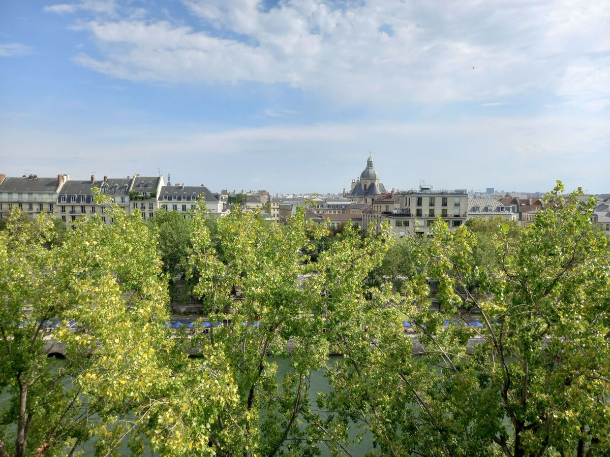 Appartement romantique île Saint-Louis, vue Seine - Photo 22