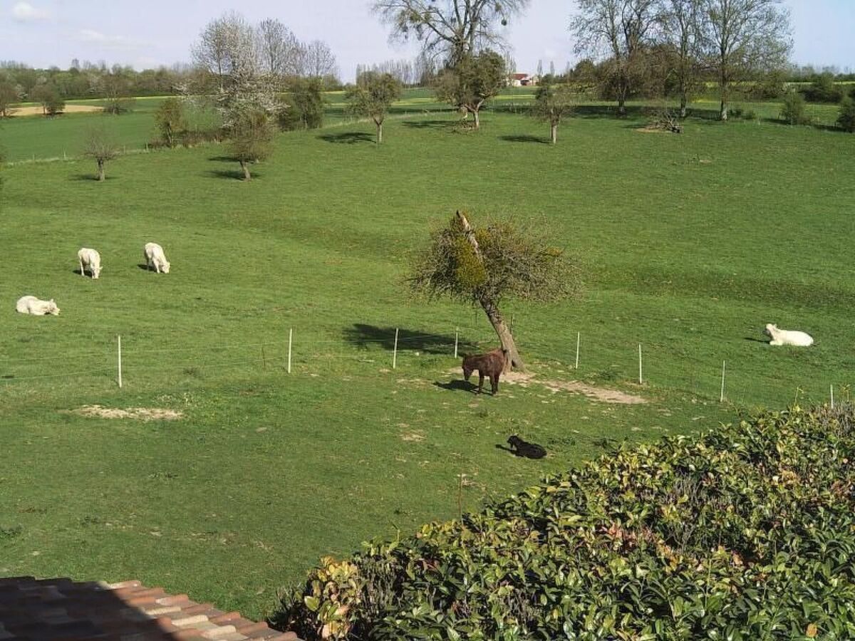La Bergerie du Festel – Maison 4 pers. à Oneux - Photo 15