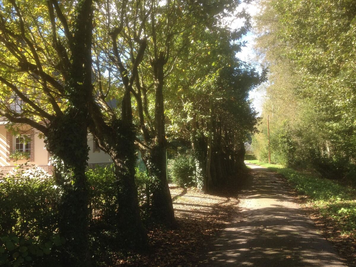Le Clos du Hêtre - Maison 6 pers. à Valmont - Photo 13