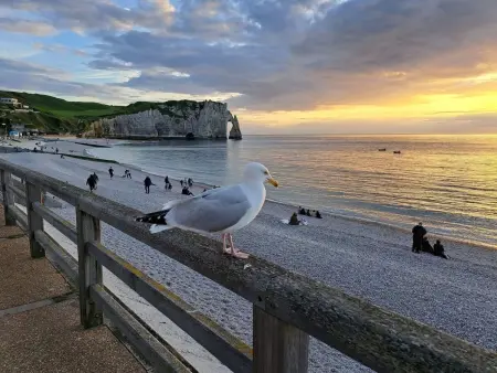 Location appartement à Fécamp, Fécamp, Soleil Mapou