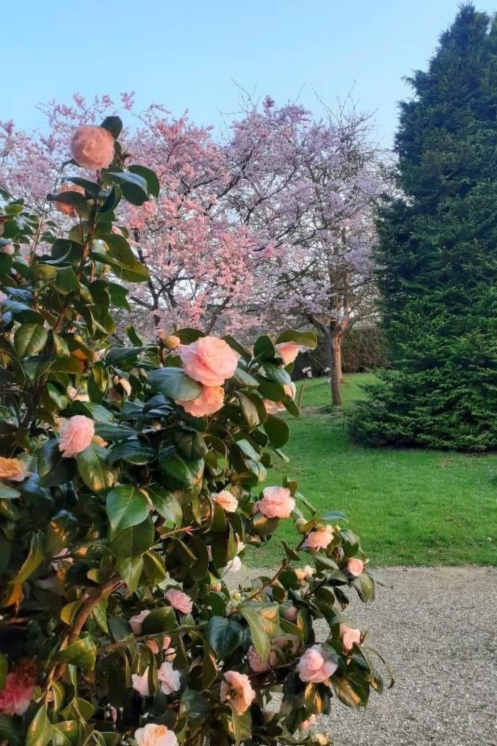 Maison normande de charme avec parc à Bec de Mortagne - Photo 29