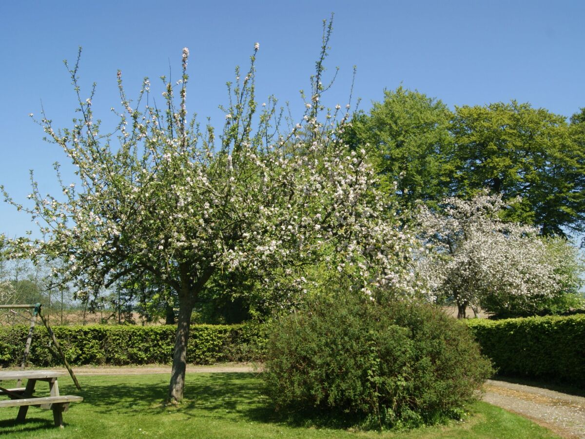 Maison normande classée, 3 chambres, jardin 1500 m² - Photo 23