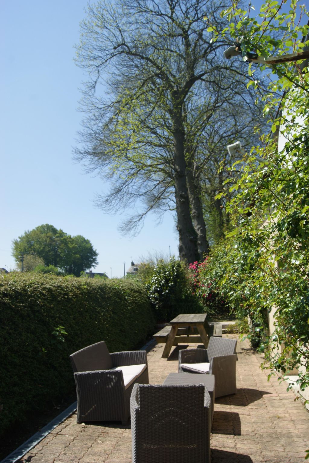 Maison normande classée, 3 chambres, jardin 1500 m² - Photo 27