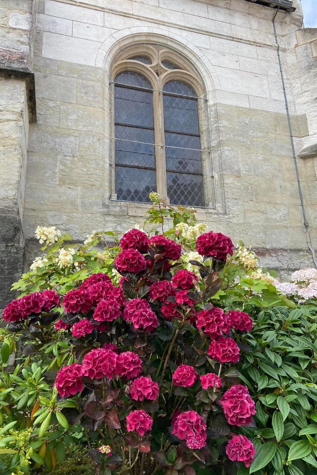 Maison normande classée, 3 chambres, jardin 1500 m² - Photo 36