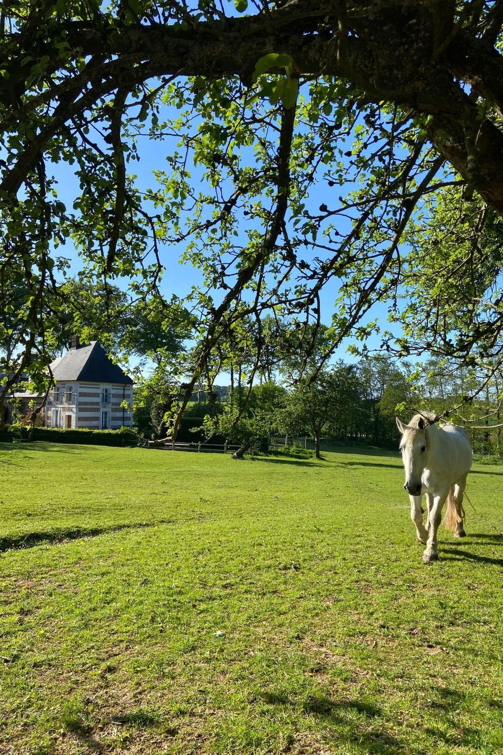 Maison normande classée, 3 chambres, jardin 1500 m² - Photo 37