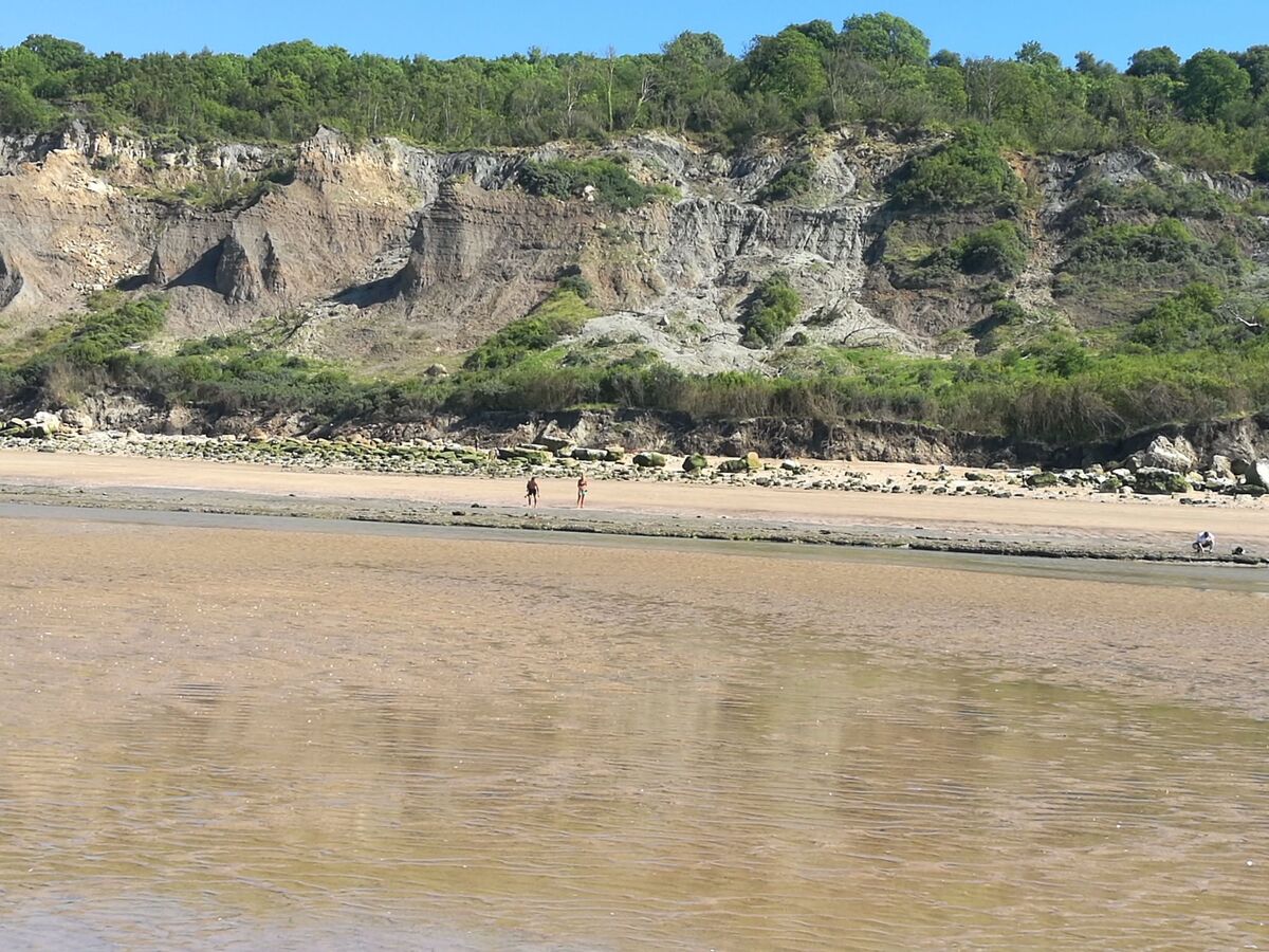 Longère normande 1890 avec jardin 200m² à 2km de plage - Photo 42