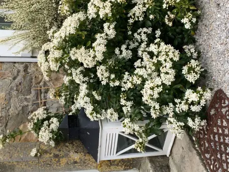 Maison en pierre à Portbail, jardin 500 m² : photo 27