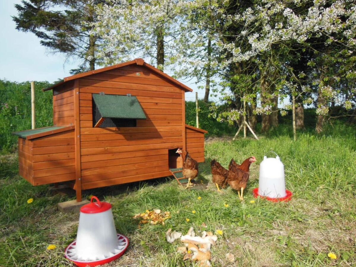 Maison 8 pers., 4 ch. - Accessible PMR à Anneville - Photo 21
