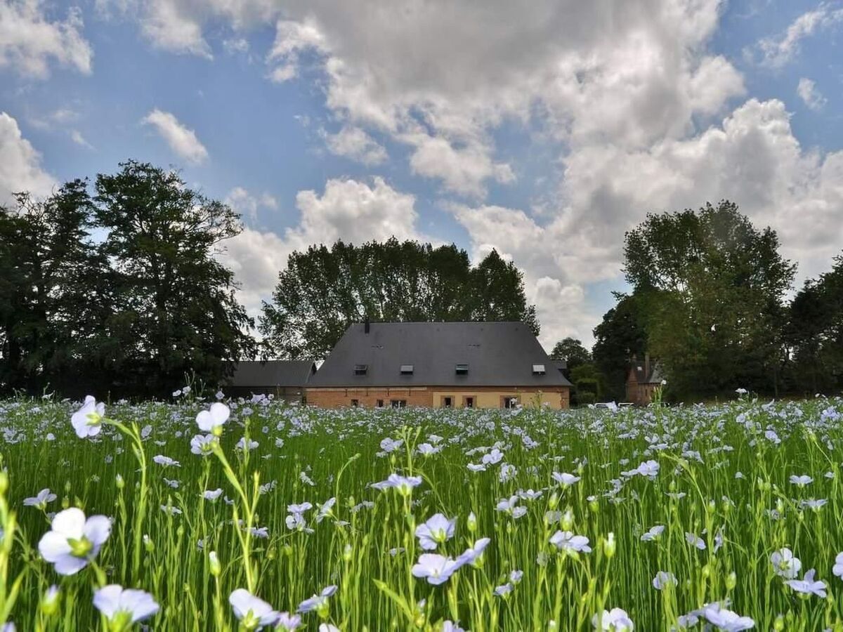 Maison 8 pers. à Anneville-sur-Scie, accessible PMR - Photo 19