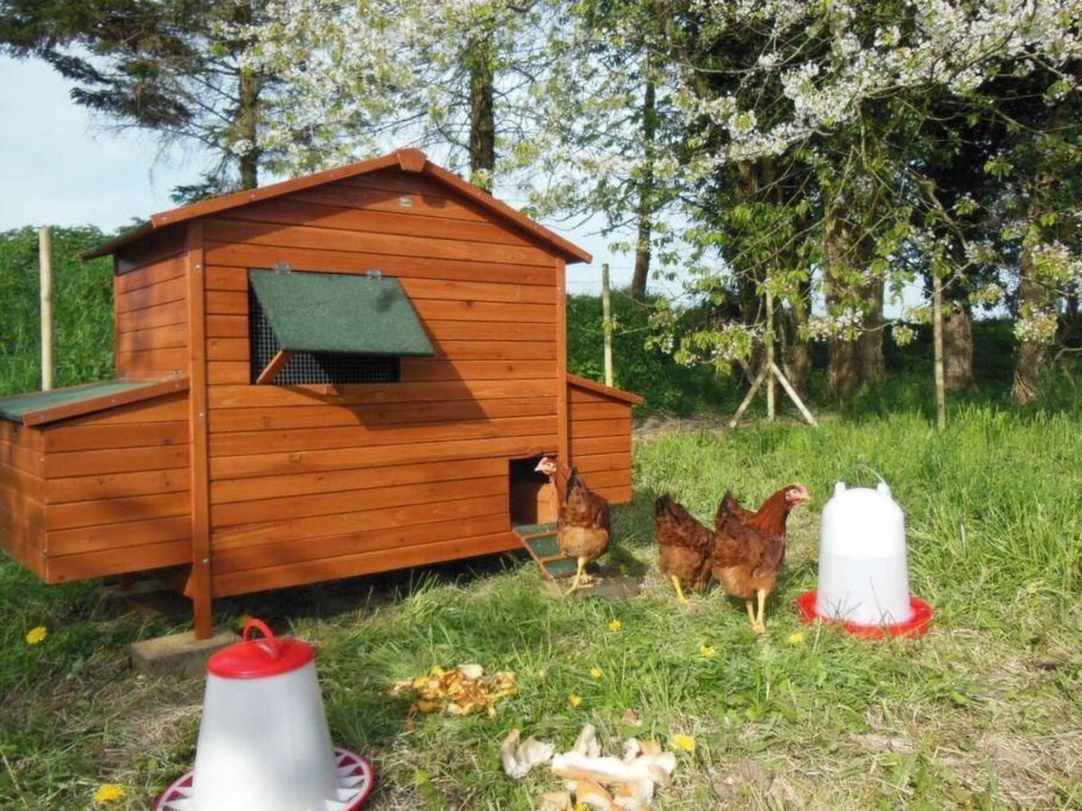 Maison 8 pers. à Anneville-sur-Scie, accessible PMR - Photo 23