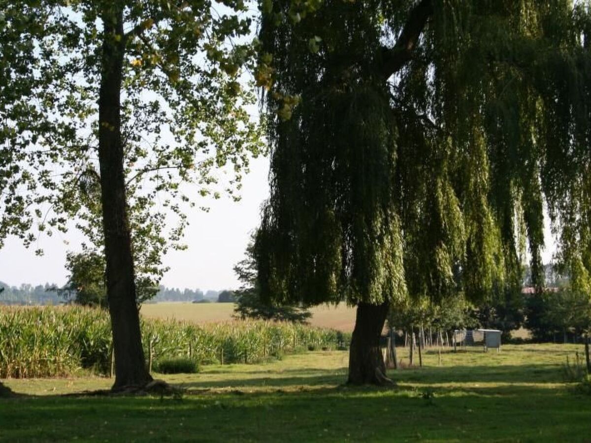 Maison 8 pers. à Anneville-sur-Scie, accessible PMR - Photo 26