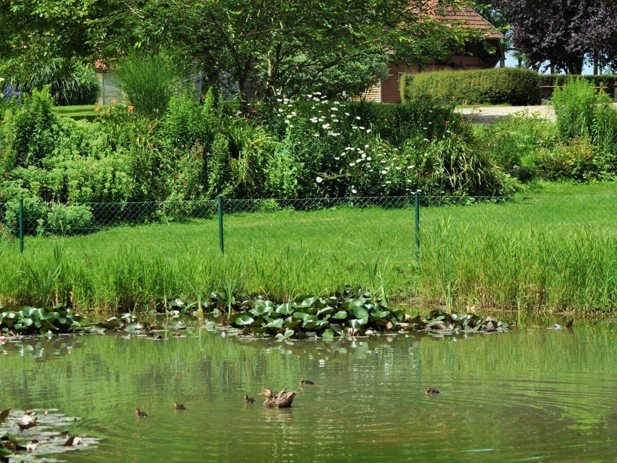 Maison 8 pers. à Anneville-sur-Scie, accessible PMR - Photo 35